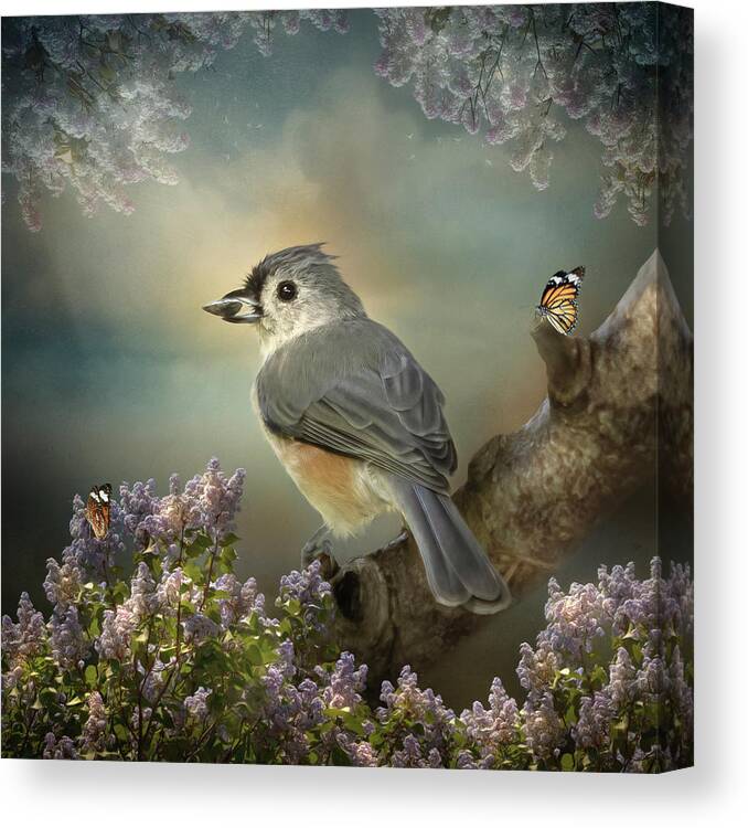 Birds Canvas Print featuring the digital art Tomas the Titmouse by Maggy Pease