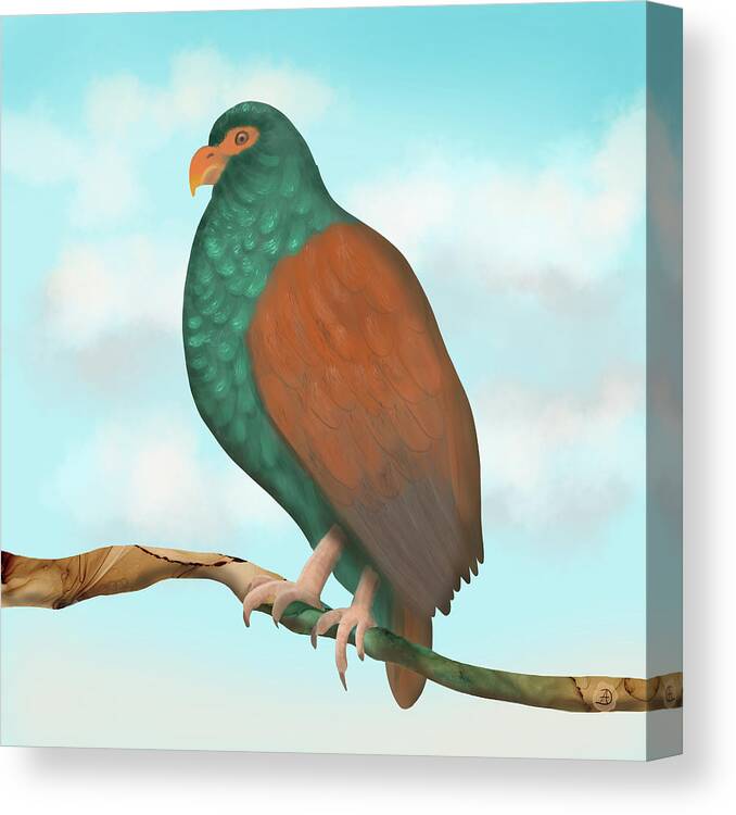 Tooth-billed Pigeon Canvas Print featuring the digital art Tooth-billed Pigeon on a Branch by Andreea Dumez