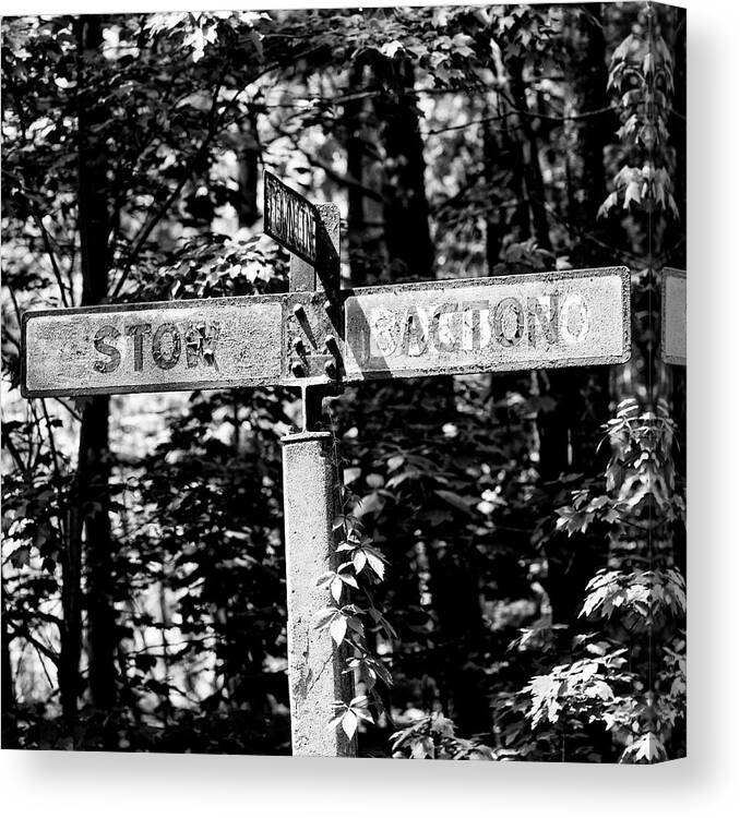 Black And White Canvas Print featuring the photograph Townline by George Pennington