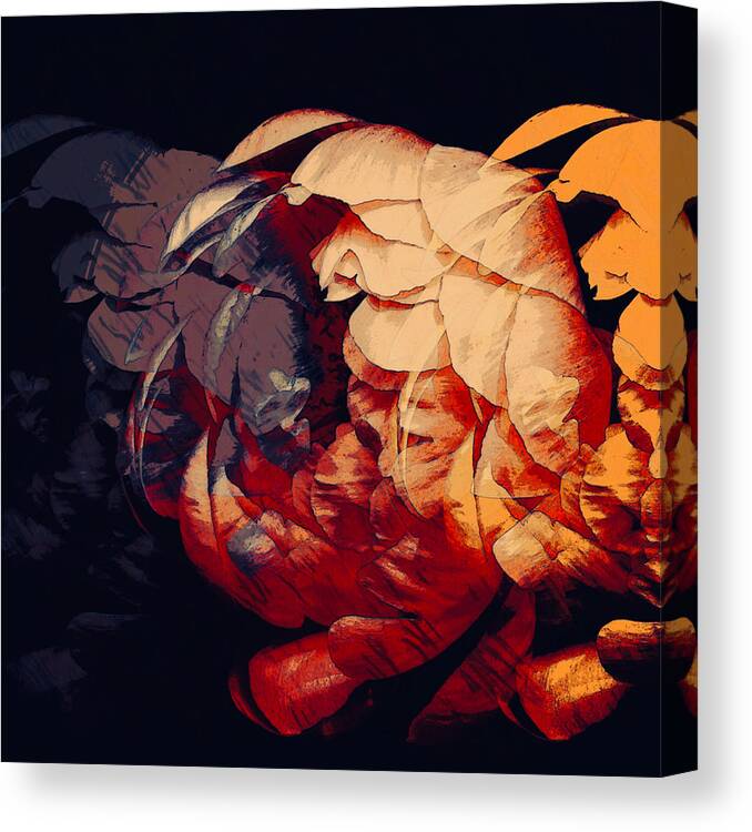Abstract Art Canvas Print featuring the digital art Trois by Canessa Thomas