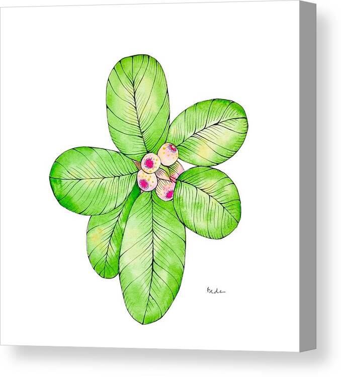 Tropical Canvas Print featuring the painting Tropical Plant with Pink Berries by Catherine Bede