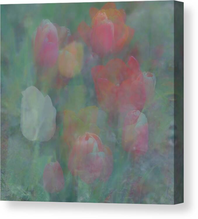 Paintography Canvas Print featuring the photograph Tulips by Jerry Abbott