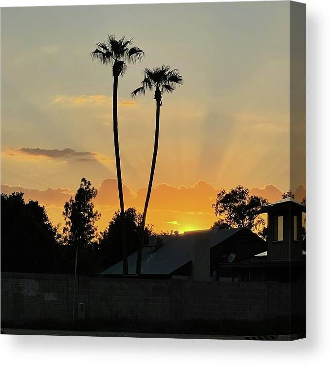 Sunset Canvas Print featuring the photograph Twin Palm Sunset by Grey Coopre
