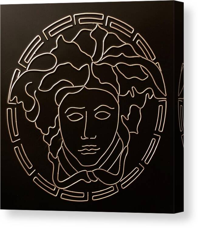 FAMILY GUY VERSACE MEDUSA RICK AND MORTY STICKERS STEWIE VINYL DECAL WALL ART 5' 