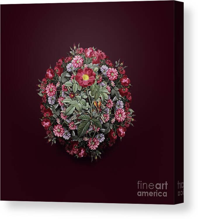 Vintage Canvas Print featuring the painting Vintage Red Portland Rose Flower Wreath on Wine Red n.1741 by Holy Rock Design
