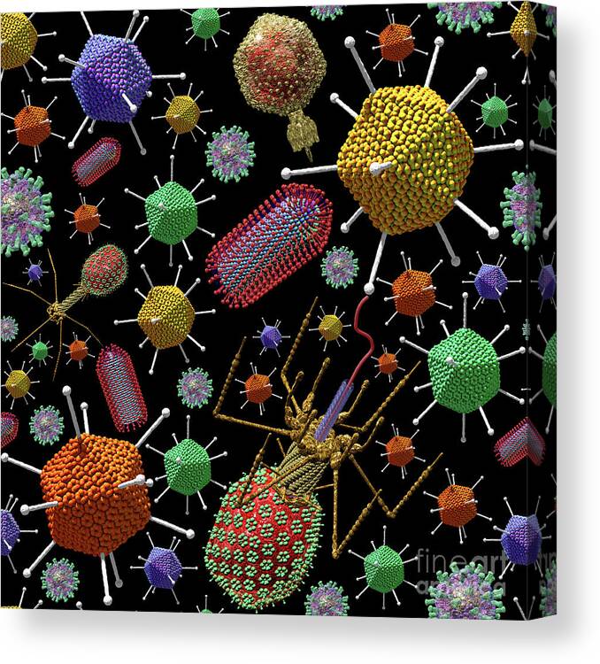 Virus Canvas Print featuring the digital art Virus Ocean Christmas Coloured Viruses by Russell Kightley