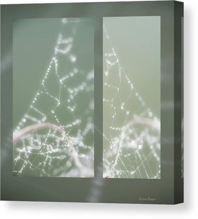 Web Canvas Print featuring the photograph Web With Dew by Karen Rispin