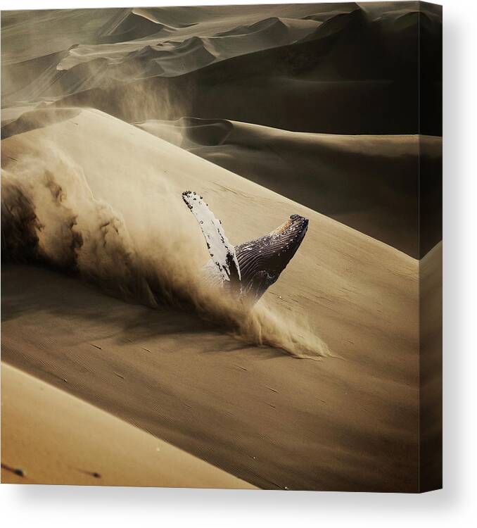 Desert Canvas Print featuring the digital art Whale - Series 1. by Zoltan Toth