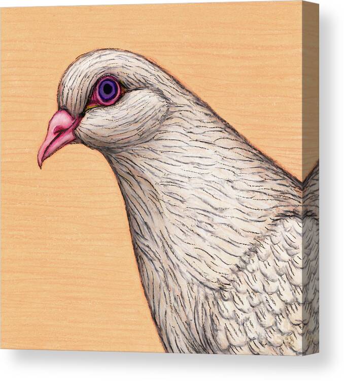Dove Canvas Print featuring the painting White Dove by Amy E Fraser