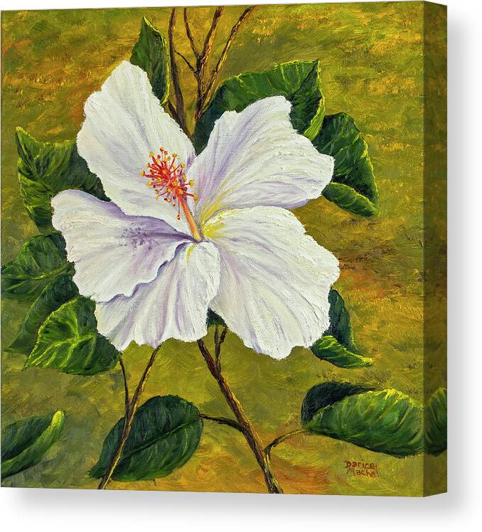 Flower Canvas Print featuring the painting White Hibiscus by Darice Machel McGuire