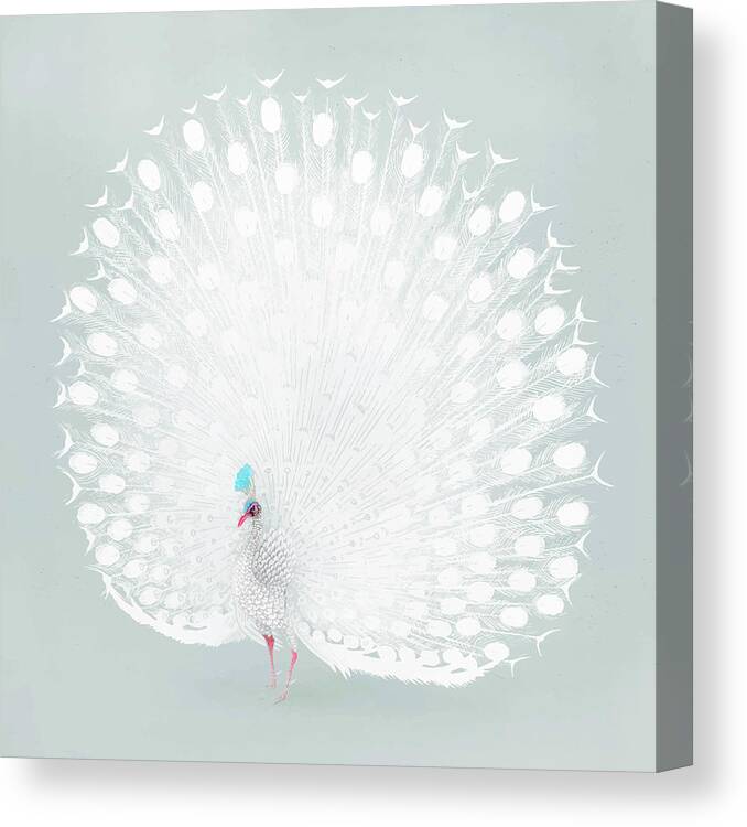 Animal Canvas Print featuring the painting White peacock vintage wall art print poster design remix from or by Tony Rubino