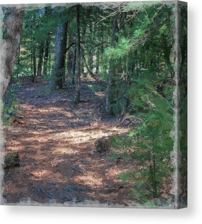 Path Canvas Print featuring the digital art Winding Path by George Pennington