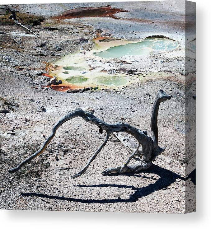 Thermal Canvas Print featuring the photograph Yellowstone Geyser Pools 2 by Marilyn Hunt