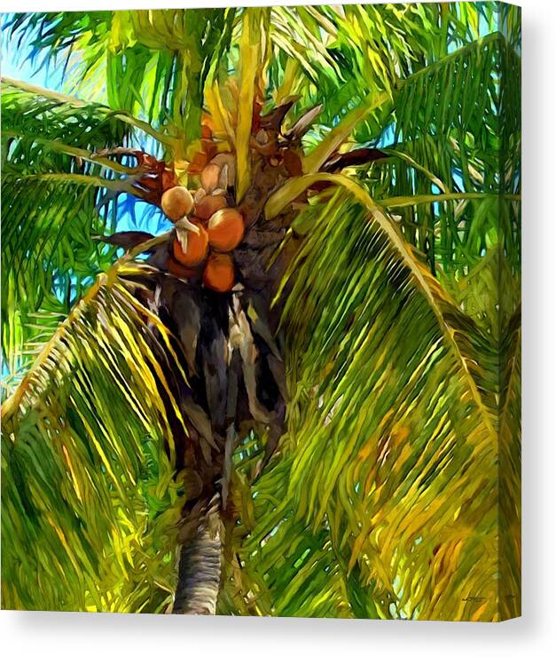 Coconut Palm Tree Canvas Print featuring the painting Coconut Palm Tree by Stephen Jorgensen