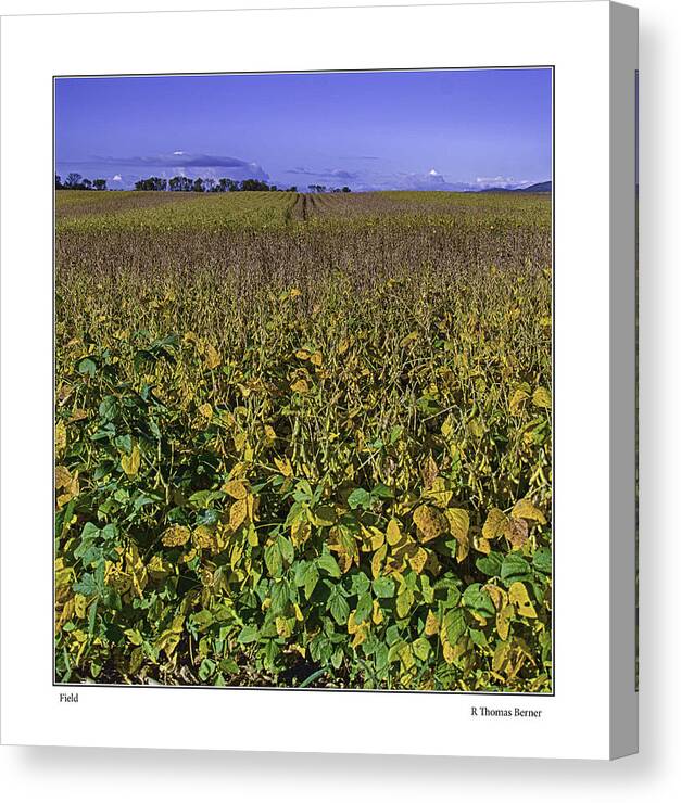  Canvas Print featuring the photograph Field by R Thomas Berner