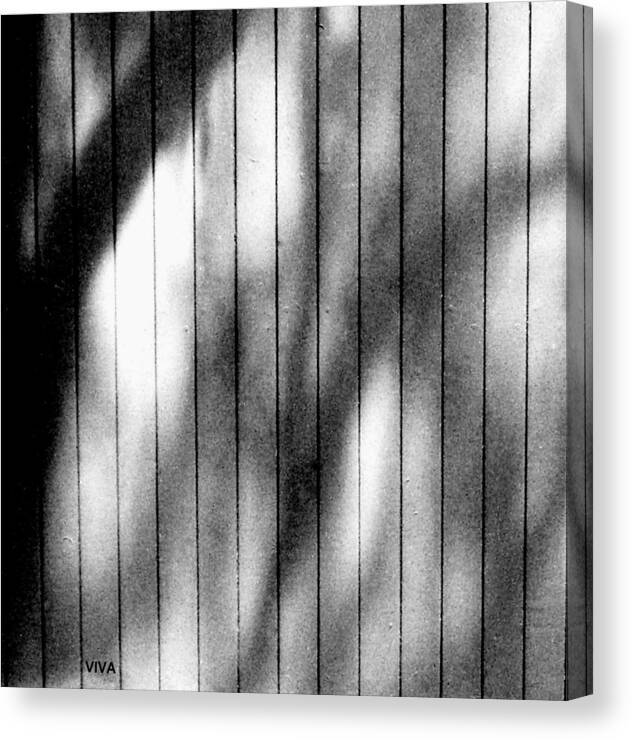 Wood Fence Canvas Print featuring the photograph Shadowland by VIVA Anderson