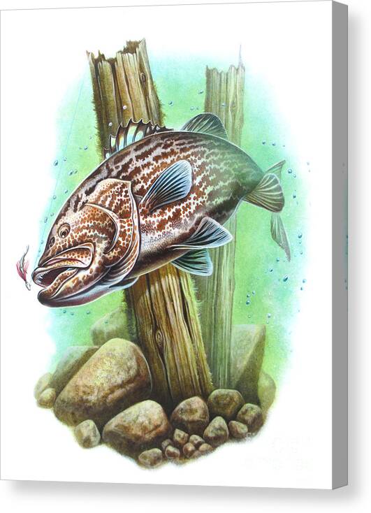 Fish Canvas Print featuring the painting Grouper Fish by JQ Licensing