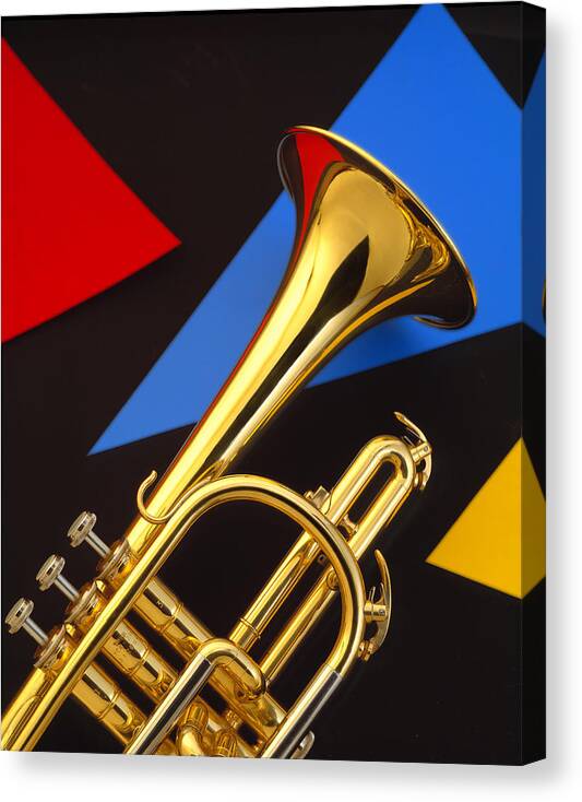 Photograph Canvas Print featuring the photograph Trumpet and Triangles by Douglas Pulsipher