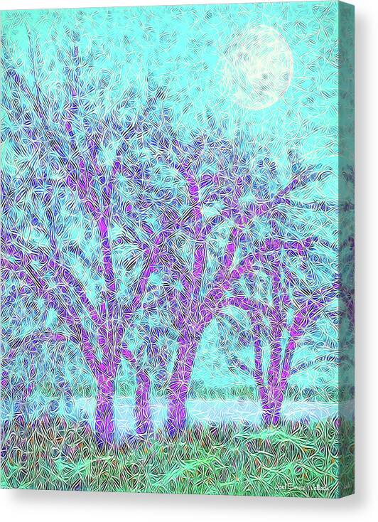 Joelbrucewallach Canvas Print featuring the digital art Winter Trees In Moonlight Blue - Boulder County Colorado by Joel Bruce Wallach