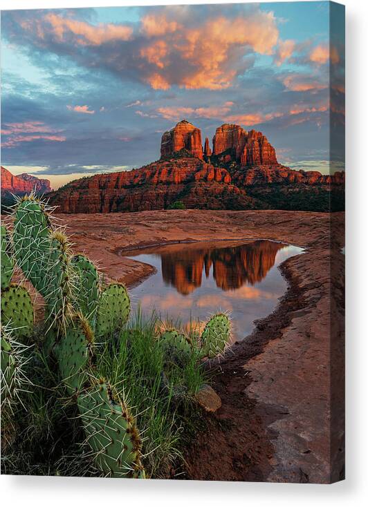 Arizona Canvas Print featuring the photograph On Pins And Needles by Guy Schmickle