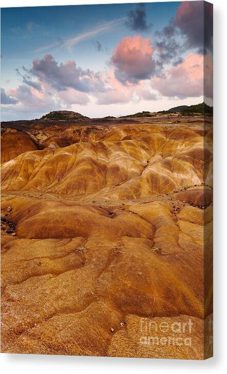Landscape Canvas Print featuring the photograph Dawn on the savane by Matteo Colombo