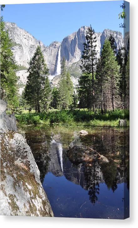 Landscape Canvas Print featuring the photograph Yosemite Falls and Reflection by Mike Helland