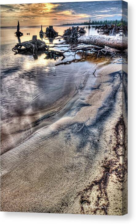 Cypress Canvas Print featuring the photograph Cypress Stumps in Albemarle Sound 4880 by Dan Beauvais