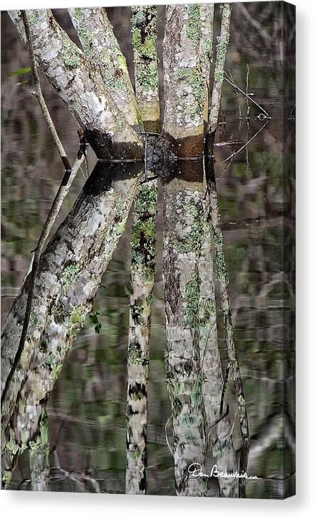 Tree Canvas Print featuring the photograph Trunk Reflection 8910 by Dan Beauvais