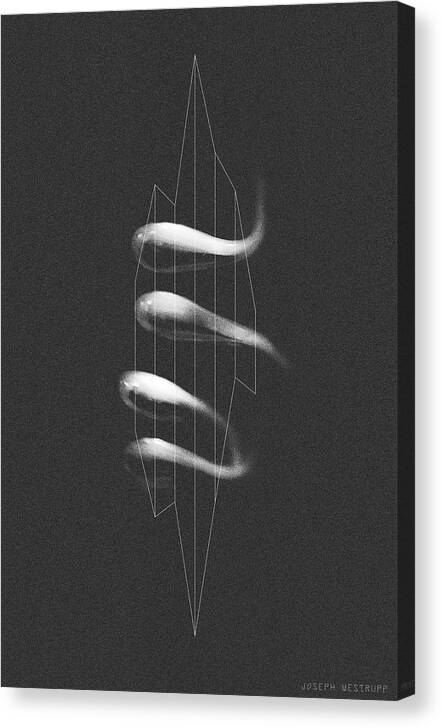 Abstract Canvas Print featuring the photograph Avidity - Abstract Geometric Line Art by Joseph Westrupp