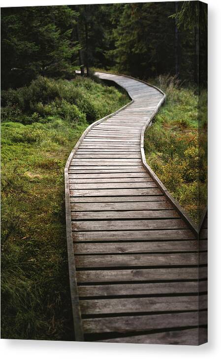 Eternity Canvas Print featuring the photograph The Path to Nowhere by Martin Vorel Minimalist Photography