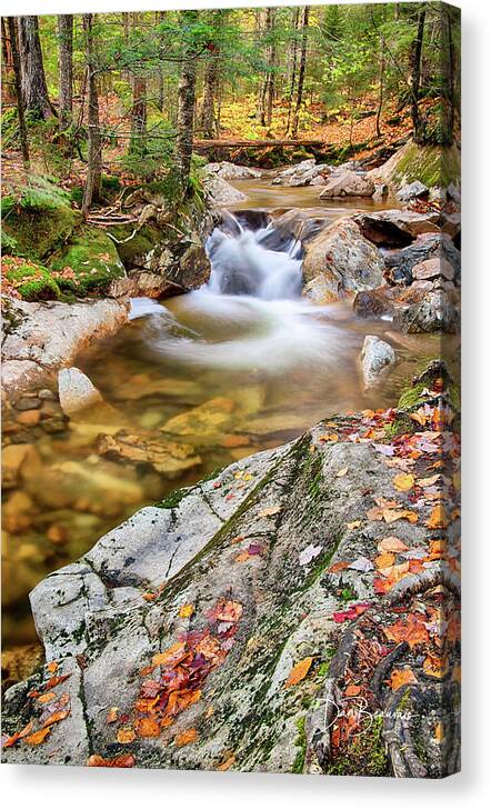 New England Canvas Print featuring the photograph Cascade in the Pemigewasset 3551 by Dan Beauvais