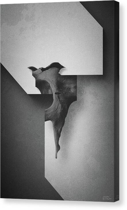 Abstract Canvas Print featuring the photograph Diagesis vi by Joseph Westrupp