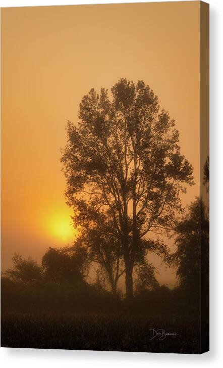 Marsh Canvas Print featuring the photograph Foggy Pocosin Sunrise 6683 by Dan Beauvais