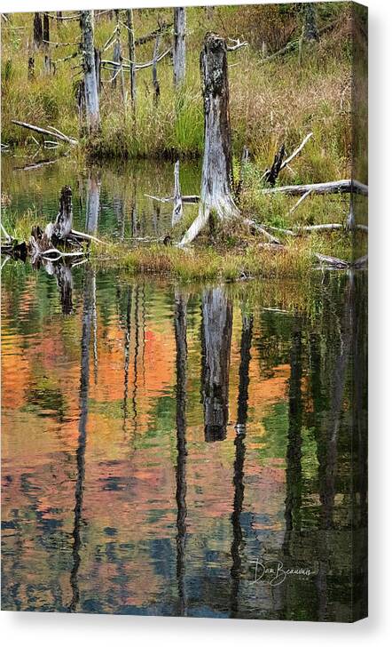 New England Canvas Print featuring the photograph Reflection in a Beaver Pond #5039 by Dan Beauvais