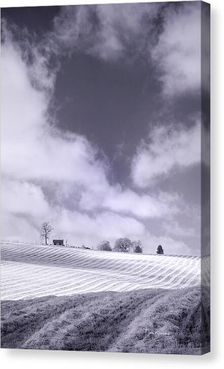Rows Canvas Print featuring the photograph Rows #1948 by Dan Beauvais