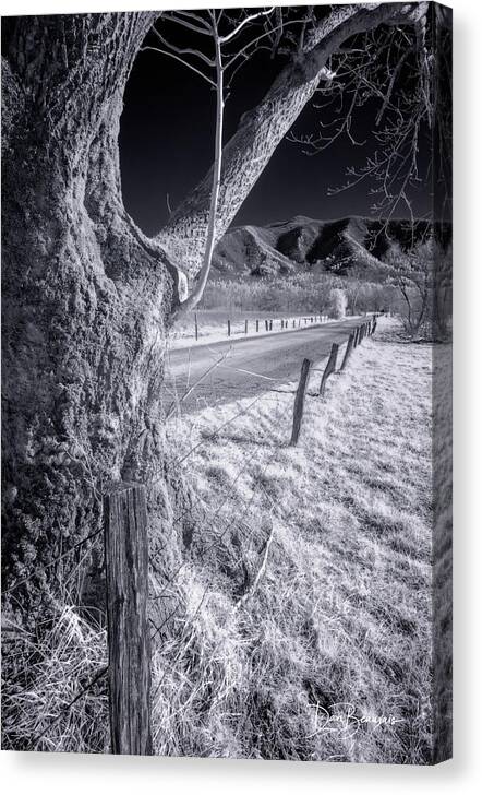 Sparks Lane Canvas Print featuring the photograph Sparks Lane 0954 by Dan Beauvais