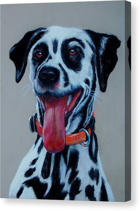 Dalmatian Canvas Print featuring the drawing Coach Dog by Jean Cormier