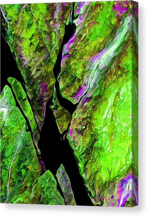 Nature Canvas Print featuring the digital art Rock Art 20 by ABeautifulSky Photography by Bill Caldwell