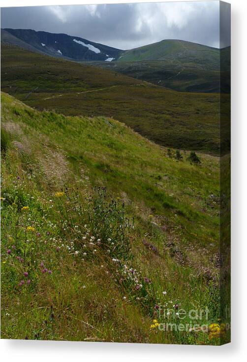 Seasons Canvas Print featuring the photograph Summer snow patches - Cairngorm Mountains by Phil Banks