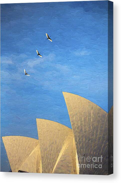 Sydney Opera House Canvas Print featuring the photograph Sydney Opera House with sacred ibis by Sheila Smart Fine Art Photography