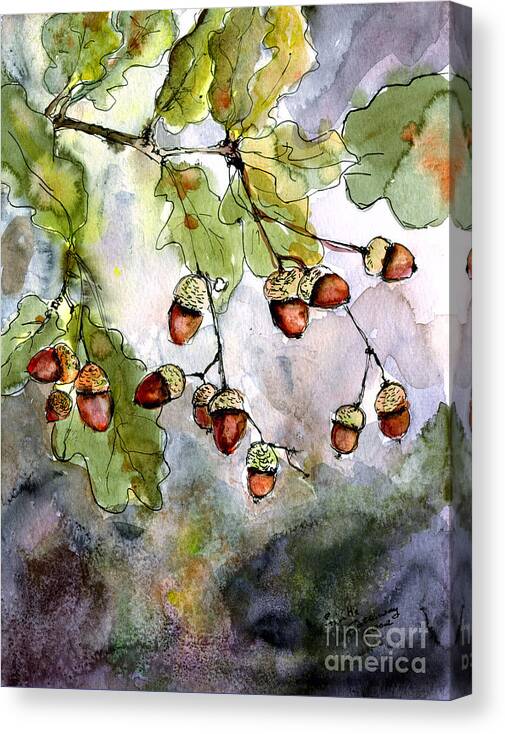 Acorns Canvas Print featuring the painting Acorns by Ginette Callaway