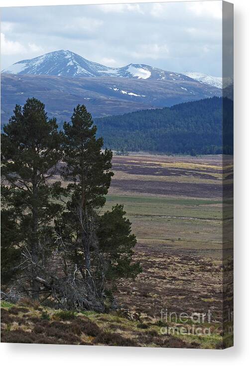 Bynack More Canvas Print featuring the photograph Bynack More and Beag - Cairngorm Mountains by Phil Banks