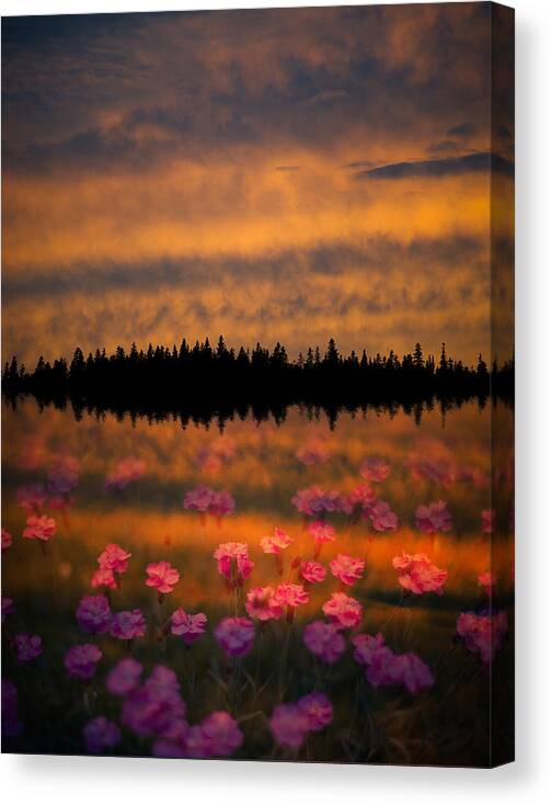 Canada Canvas Print featuring the photograph Destiny by Doug Gibbons