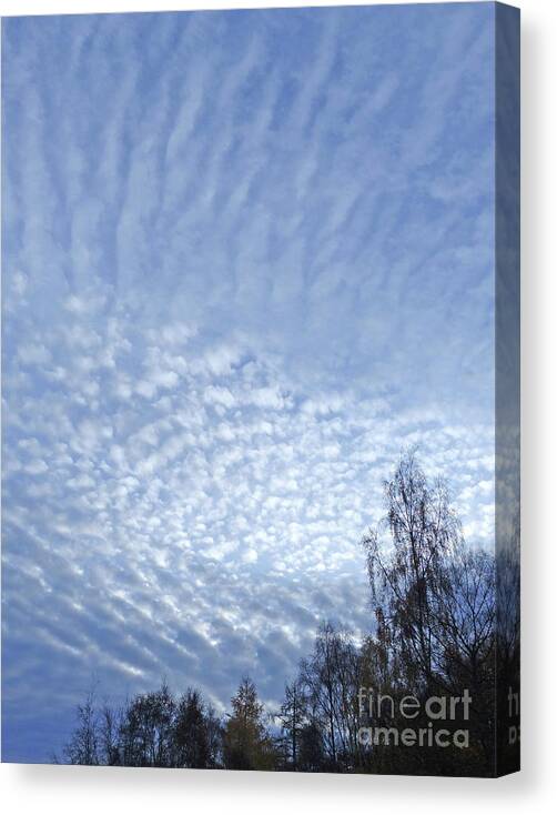 Mackerel Sky Canvas Print featuring the photograph Mackerel Sky by Phil Banks
