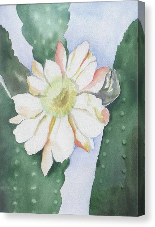 Cactus Flower Canvas Print featuring the painting Night Bloomers by Kathy Mitchell