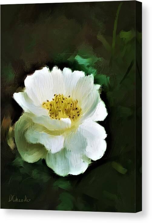 Rose Canvas Print featuring the digital art Simple Beauty by Diane Chandler