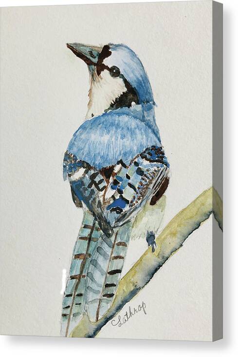 Bird Canvas Print featuring the painting Bluejay on Branch by Christine Lathrop