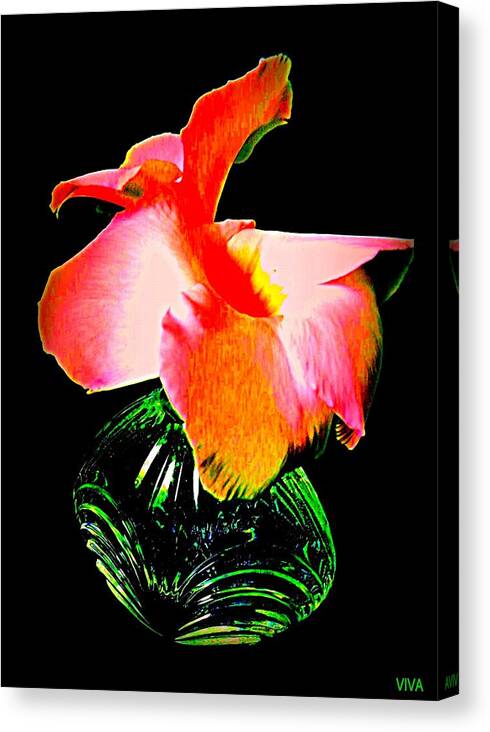 Exotica Canvas Print featuring the photograph Exotica Green Pink Unframed by VIVA Anderson