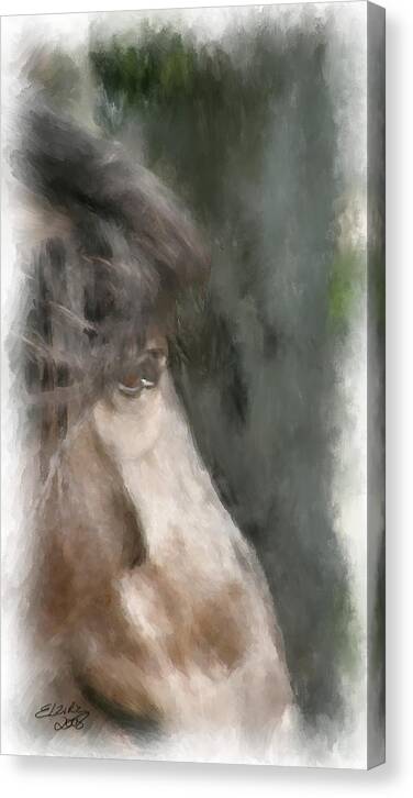 Horse Canvas Print featuring the painting Misty Morn by Elzire S