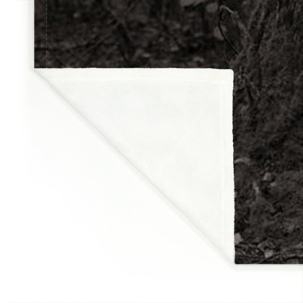 Claqueta sintetica blanco y negro :: Falcofilms :: Product sheet for sale